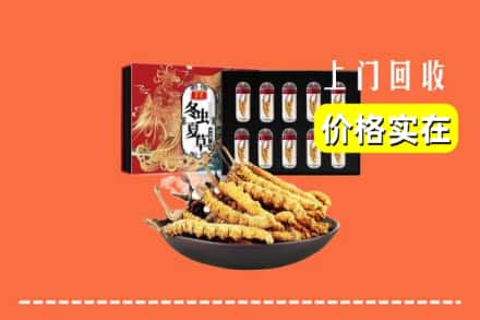 建宁县回收冬虫夏草